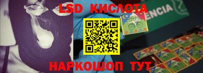 индика Бердск