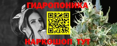 индика Бердск