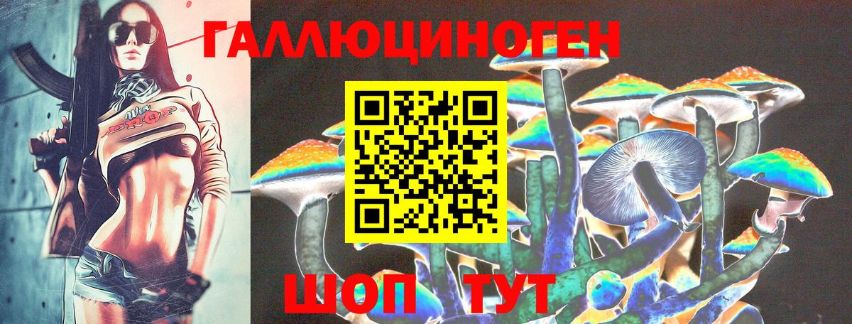 Белореченск  Псилоцибиновые грибы Cubensis  Вход с VPN 